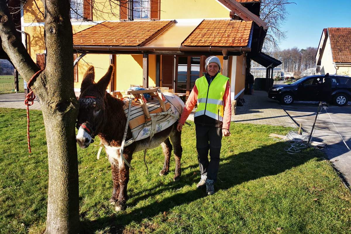 Popotnica Cindy v Kuršincih Popotnica Cindy v Kuršincih
