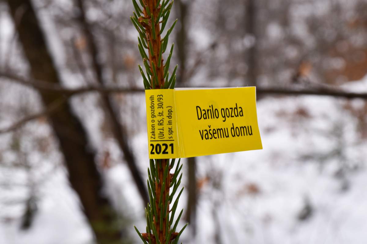 Oznaka na slovenski okrasni smrečici za leto 2021, foto: Zavod za gozdove Slovenije