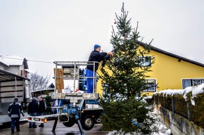 Praznična smreka v središču Male Nedelje