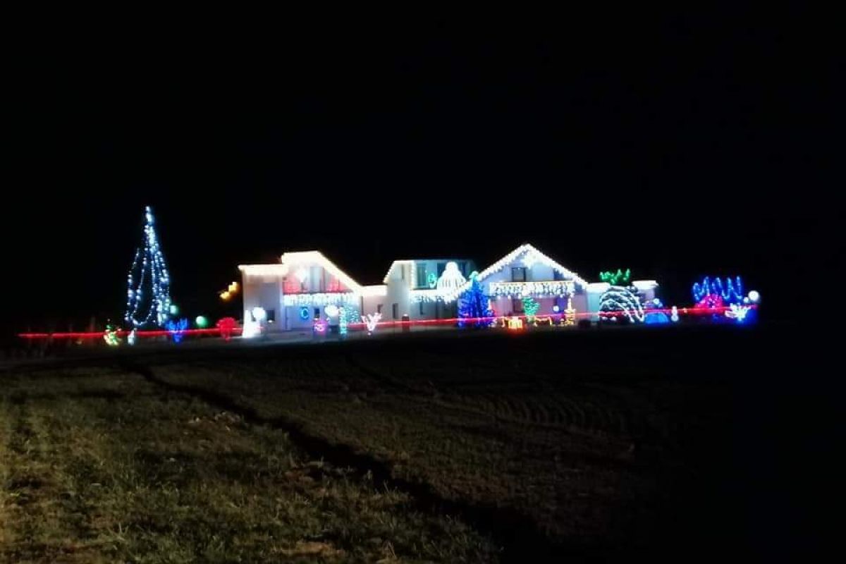 Praznična okrasitev pri družini Jurič, foto: Dušan Koren