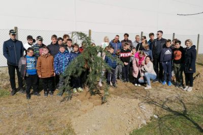 Zasaditev dreves pri OŠ Cvetka Golarja Ljutomer