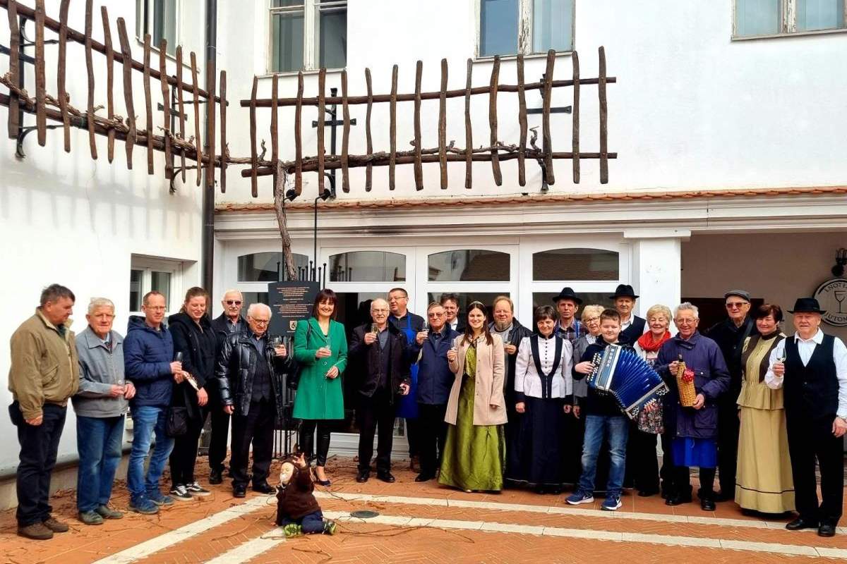 Rez vinske trte v Ljutomeru