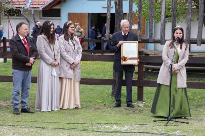 Rez vinske trte na hipodromu