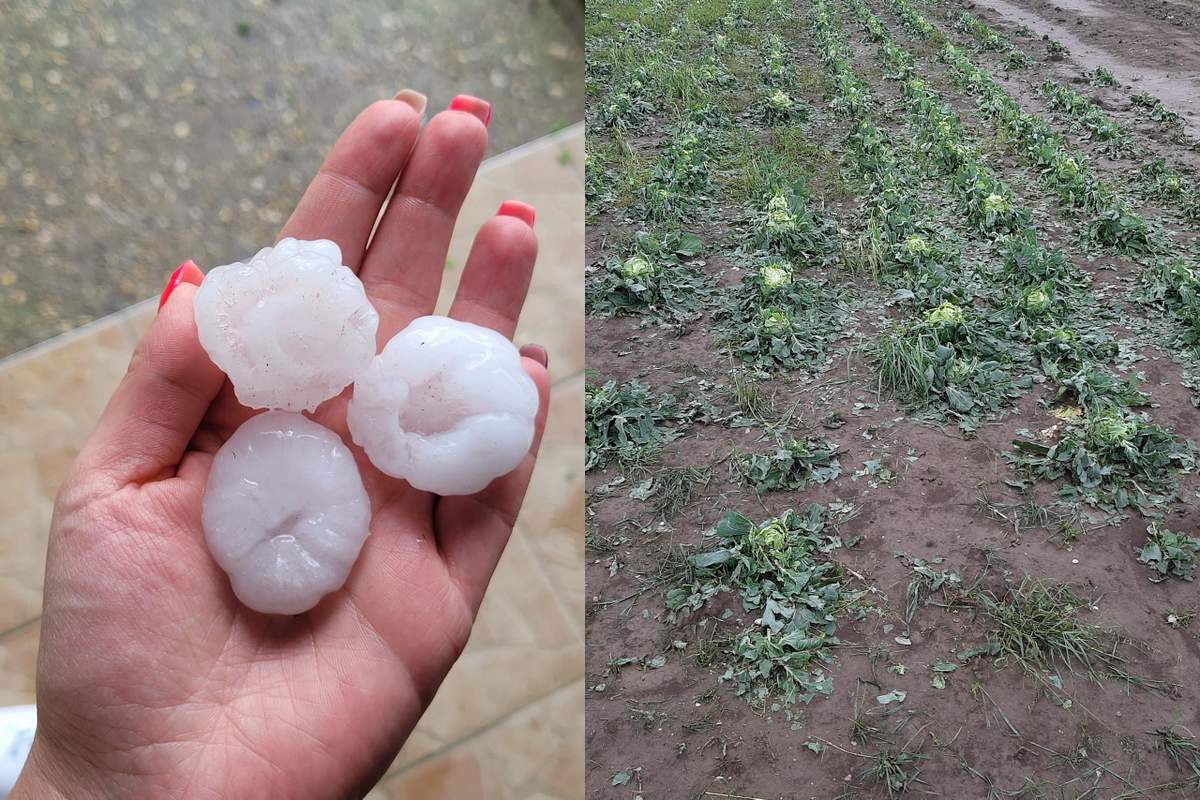 Bralci so nam v sredo poslali številne fotografije debele toče in škode