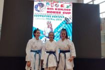 Karate turnir v Slovenskih Konjicah