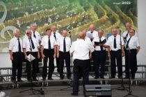 38. srečanje gasilskih pevskih zborov in skupin ter gasilskih godb Slovenije