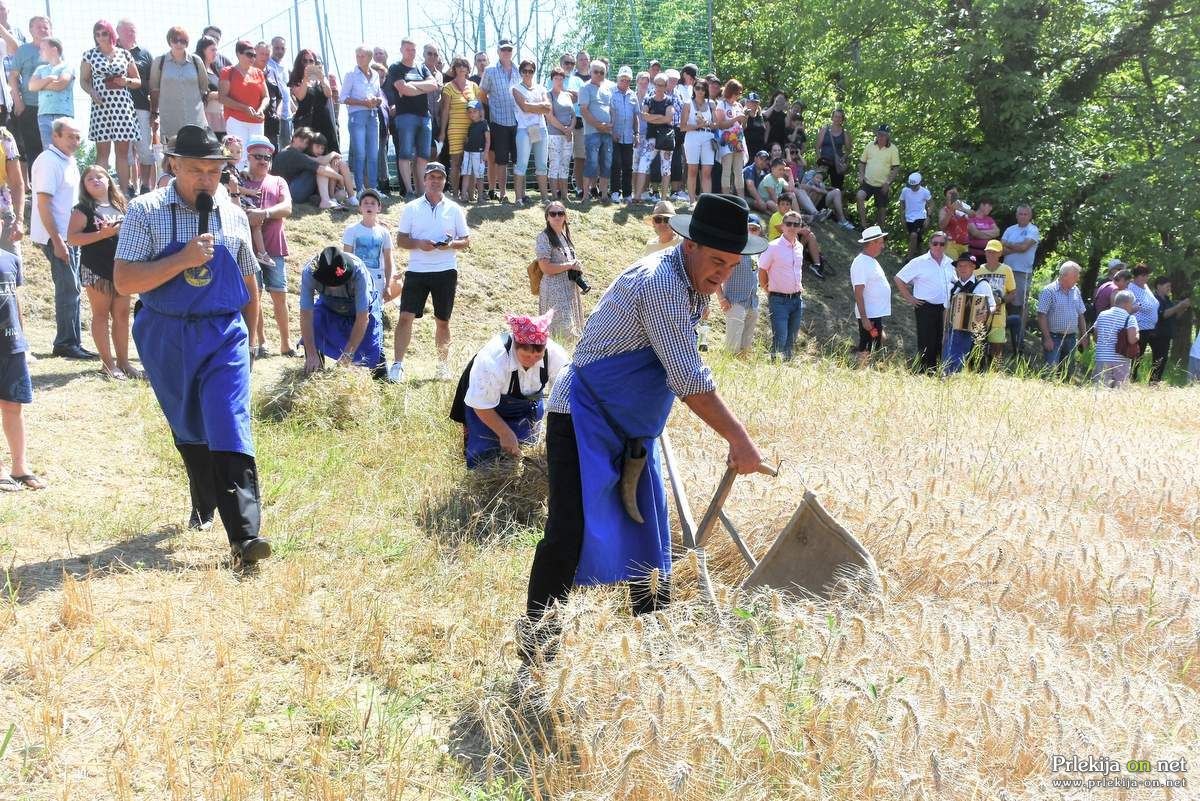 59. praznik žetve na Polenšaku