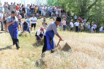 59. praznik žetve na Polenšaku