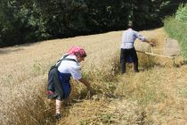 59. praznik žetve na Polenšaku