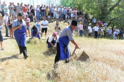 59. praznik žetve na Polenšaku