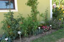 Gospodinjski praznik Društva gospodinj Marta Juršinci