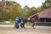 Leona B – zmagovalka dirke za 3 do 8-letne slovenske kasače – in voznik Rok Brunec