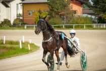 Zadnje kasaške dirke sezone v Ljutomeru