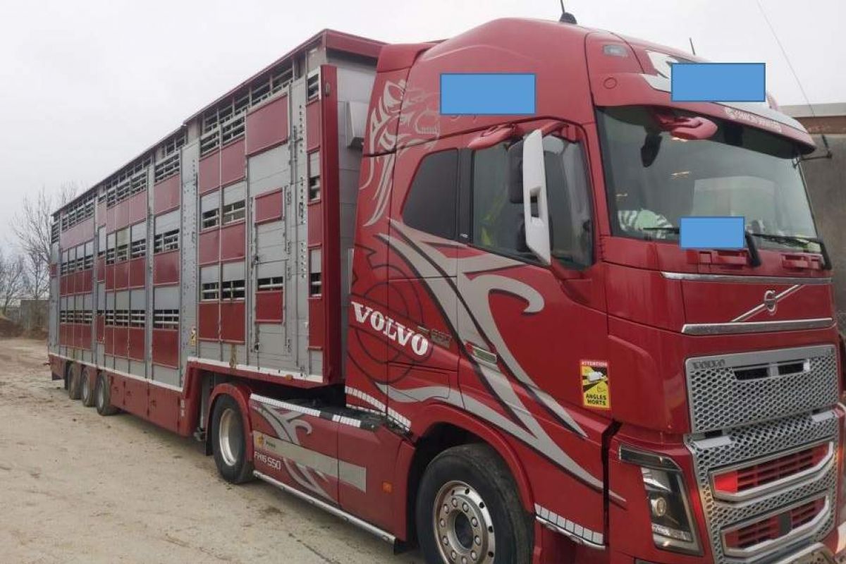 Vozilo je presegalo dovoljeno maso za skoraj 10 ton, foto: PU Maribor