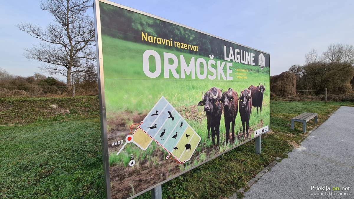 Ormoške lagune