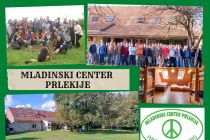 Mladinski center Prlekije