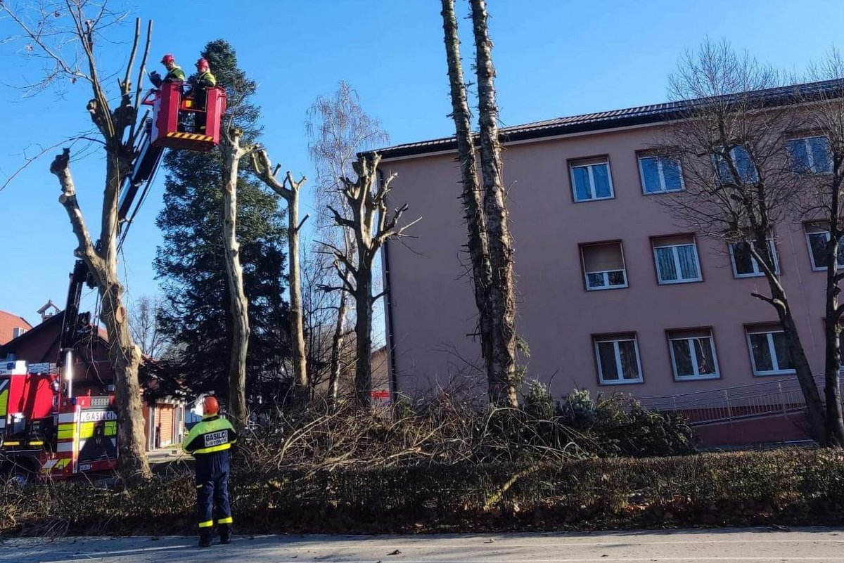 Povod v izmenjavo mnenj je bilo obrezano drevje pred ljutomerskim sodiščem, foto: Gibanje Svoboda Ljutomer