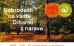Brezplačna vadba Dihamo z naravo