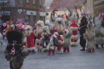 Dan kurentovih in korantovih skupin