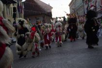 Dan kurentovih in korantovih skupin
