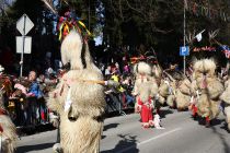 Mednarodna karnevalska povorka