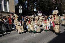 Mednarodna karnevalska povorka