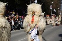 Mednarodna karnevalska povorka