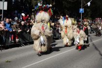 Mednarodna karnevalska povorka