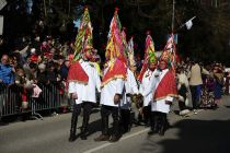 Mednarodna karnevalska povorka