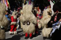 Mednarodna karnevalska povorka