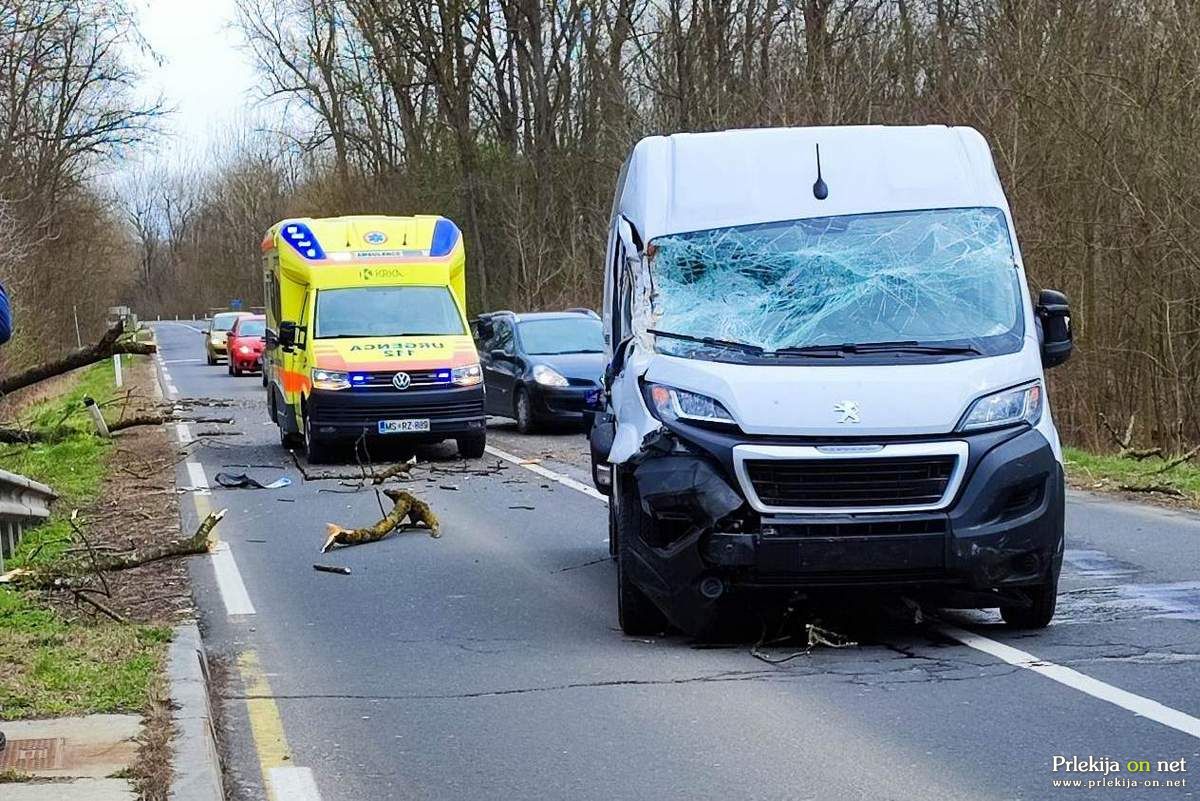 Padlo drevo na cesti Veržej - Dokležovje