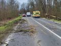 Padlo drevo na cesti Veržej - Dokležovje
