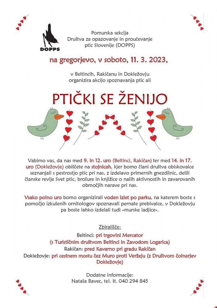 Ptički se ženijo za gregorjevo