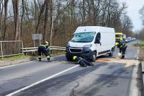 Padlo drevo na cesti Veržej - Dokležovje