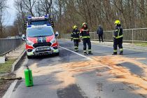 Padlo drevo na cesti Veržej - Dokležovje