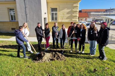 Posaditev lipe ob občinski stavbi