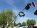 Postavljanje mlaja v Orehovcih