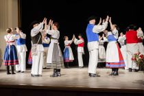 Območno srečanje odraslih folklornih skupin