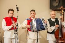 Območno srečanje odraslih folklornih skupin