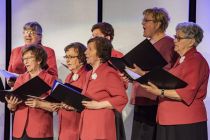 Pevski festival odraslih zborov in malih vokalnih skupin