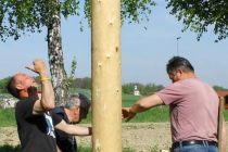 Postavljanje mlaja v Orehovcih