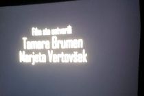 Delavnice filmske pedagogike