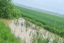 Poplavljeni travniki in njive