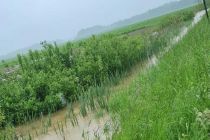 Poplavljeni travniki in njive