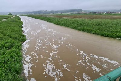 Narasla reka Ščavnica