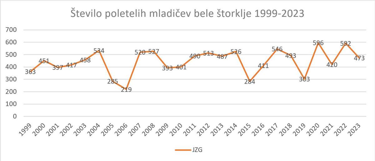 Bele štorklje v Sloveniji