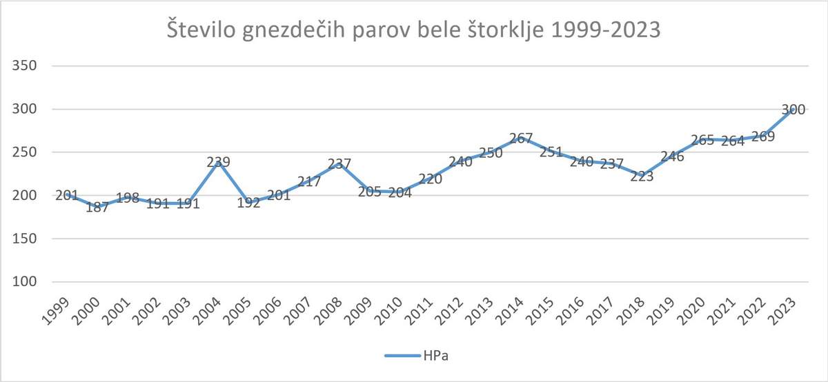 Bele štorklje v Sloveniji