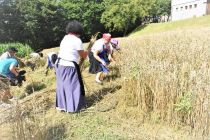 60. Praznik žetve na Polenšaku