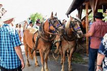 60. Praznik žetve na Polenšaku