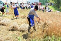 60. Praznik žetve na Polenšaku